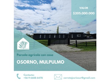 Venta / Parcela / Osorno