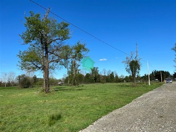 Imagen 9