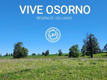 Venta / Parcela / Osorno