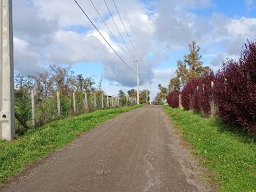 Venta / Parcela / Osorno