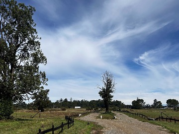 Imagen 7
