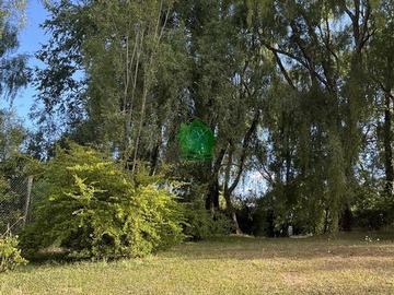 Imagen 6