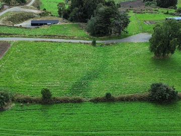 Imagen 21
