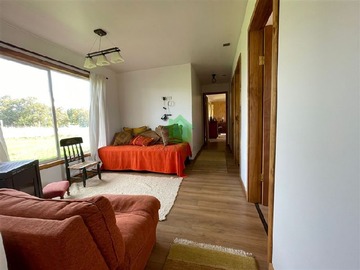 Imagen 15