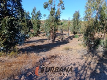 Imagen 14