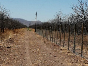 Imagen 15