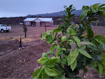 Venta / Parcela / Ovalle