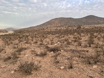 Venta / Parcela / Ovalle