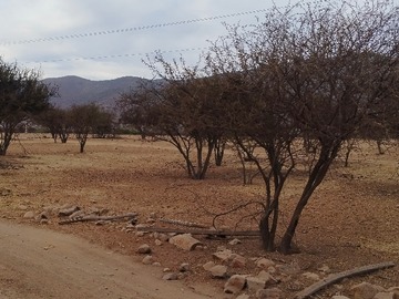 Imagen 6