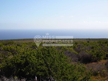 Venta / Parcela / Ovalle