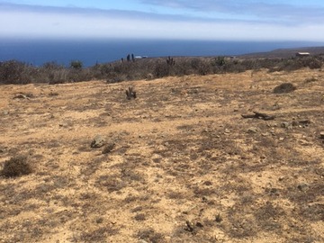 Venta / Parcela / Ovalle