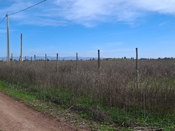 Venta / Parcela / Ovalle