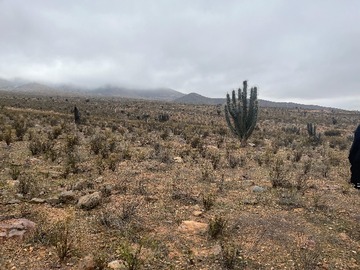 Imagen 5