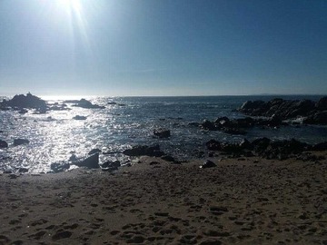 Imagen 16