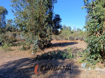 Imagen 5