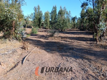 Imagen 13
