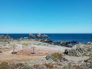Imagen 2
