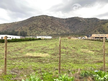 Imagen 7