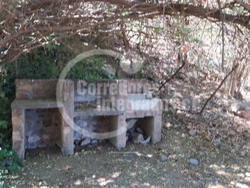 Imagen 11