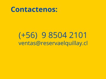 CONTACTENOS