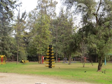Imagen 8