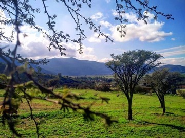 Venta / Parcela / Padre Hurtado