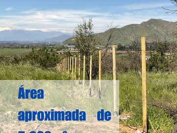 Áreas de aprox. 5000m2 (áreas variables).