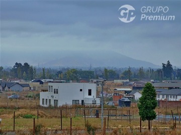 Imagen 13