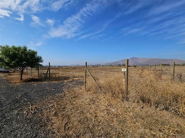 Imagen 5