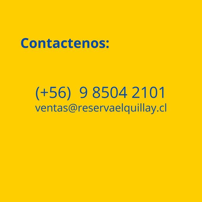 CONTACTENOS