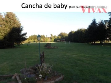 Imagen 21