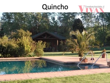 Imagen 7