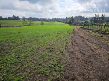 Venta / Parcela / Padre Las Casas