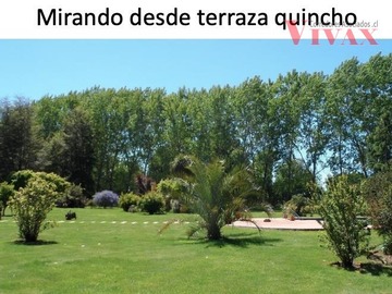 Imagen 22