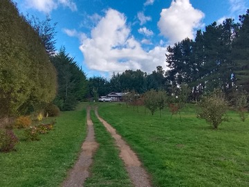 Venta / Parcela / Padre Las Casas