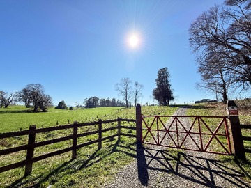 Venta / Parcela / Padre Las Casas