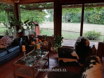 Imagen 5