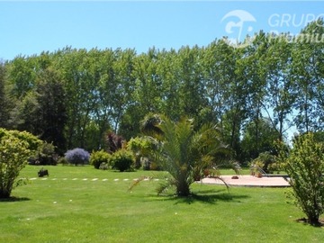 Imagen 8