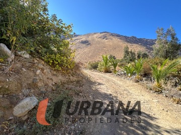 Imagen 14