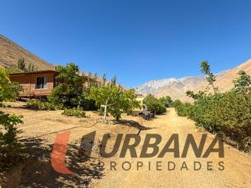 Imagen 17