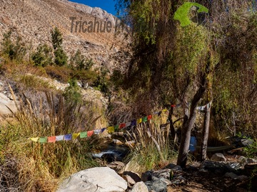 Imagen 8