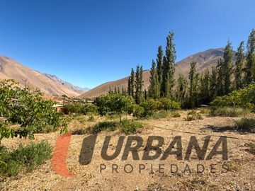 Venta / Parcela / Paihuano