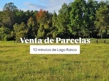 Venta / Parcela / Paillaco