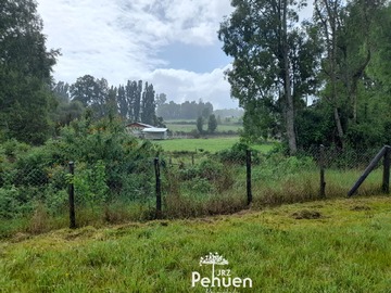 Cierre perimetral parcela