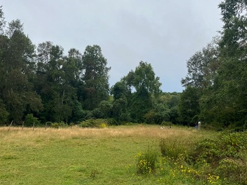 Venta / Parcela / Paillaco