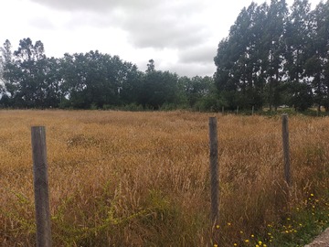 Venta / Parcela / Paillaco