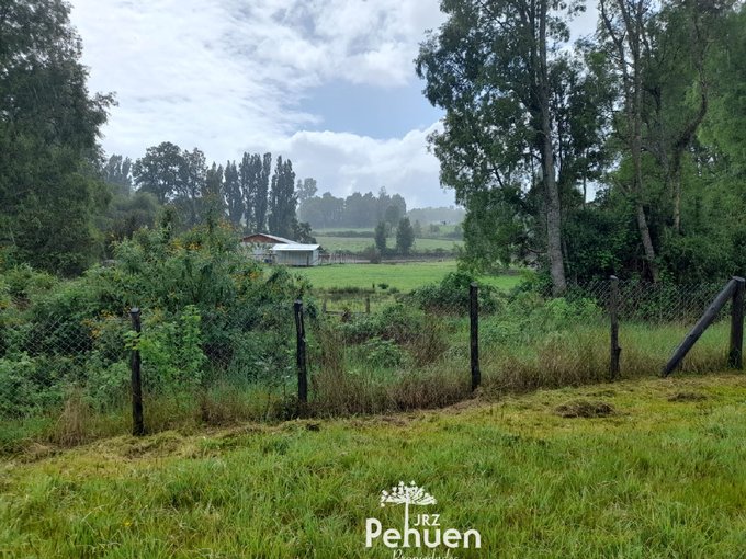 Cierre perimetral parcela