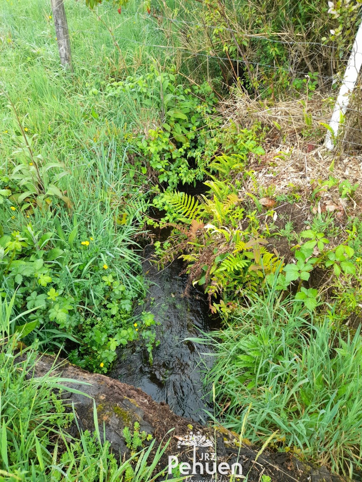 terreno