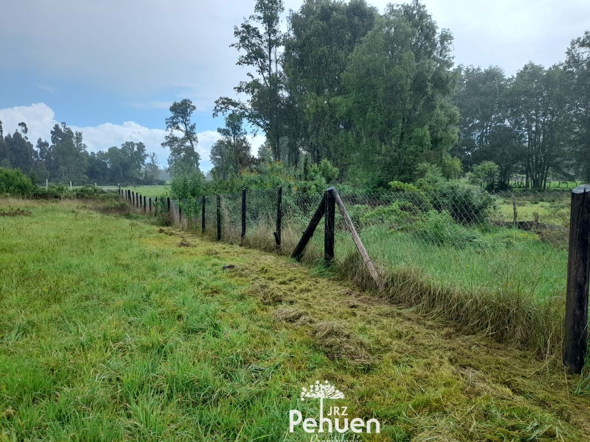 terreno