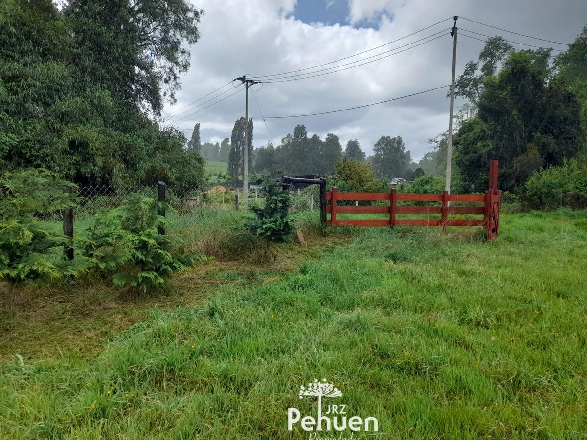 terreno